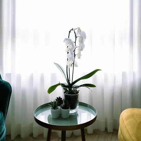 Πανσιόν Salotto Boutique Πεσκάρα