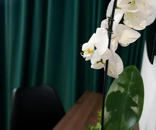 Salotto Boutique Casa de hóspedes