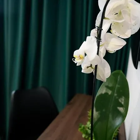 Salotto Boutique Gasthuis